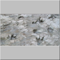 100_0690 (2009-27-07)cr.jpg